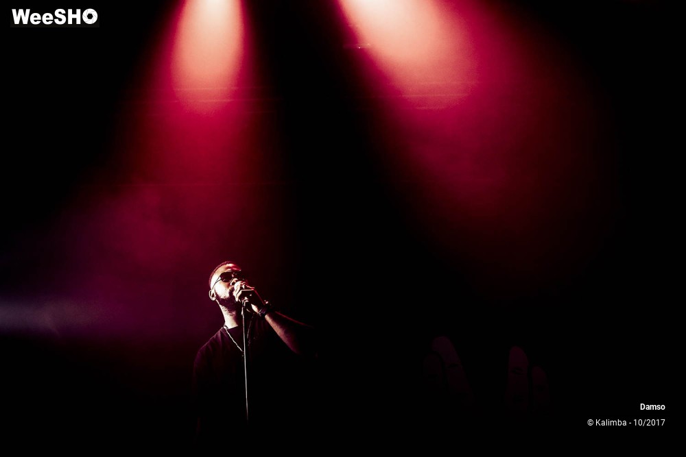 11/34 photos du spectacle Damso