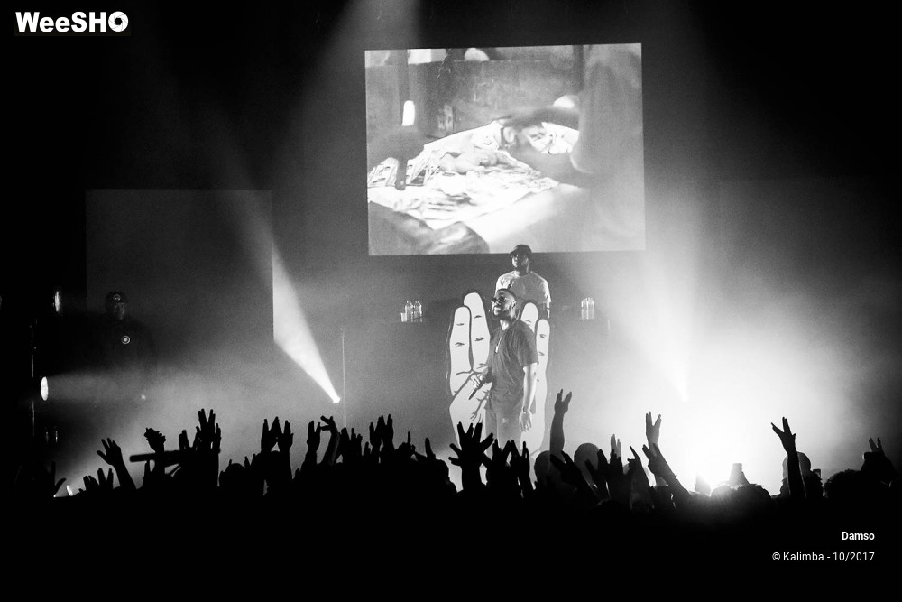12/34 photos du spectacle Damso