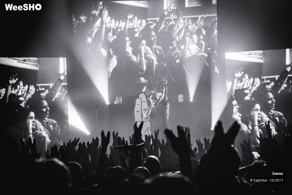 13/34 photos du spectacle Damso