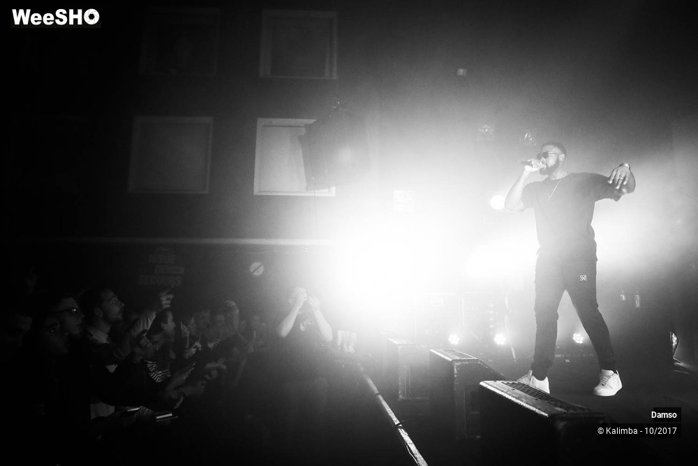 14/34 photos du spectacle Damso