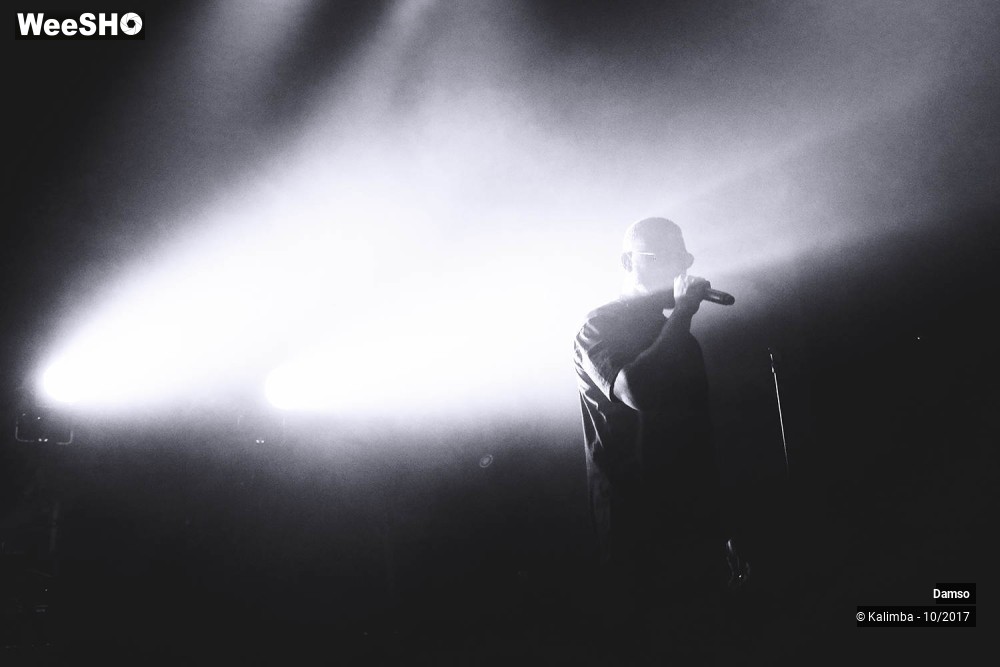 15/34 photos du spectacle Damso