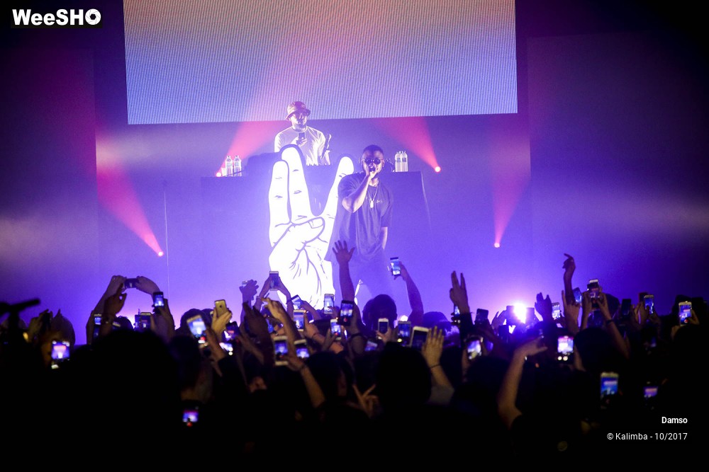 16/34 photos du spectacle Damso