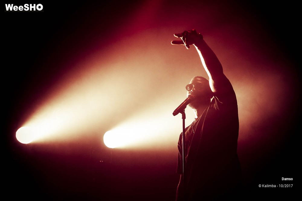 17/34 photos du spectacle Damso