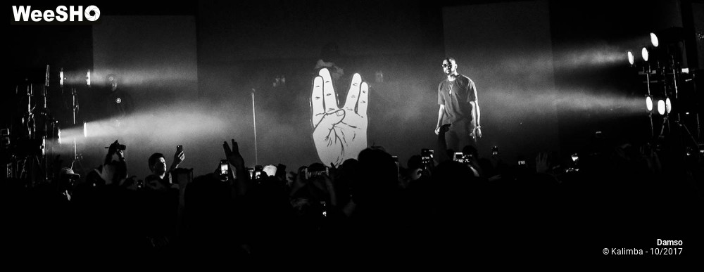 18/34 photos du spectacle Damso