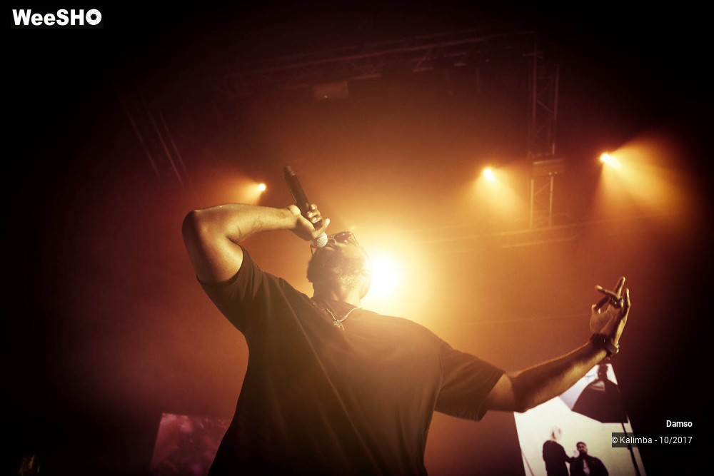 19/34 photos du spectacle Damso