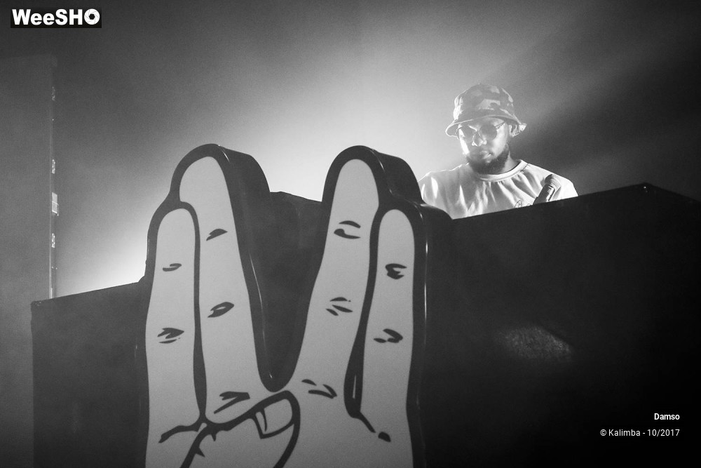 20/34 photos du spectacle Damso