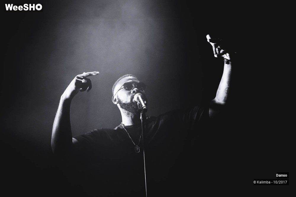 21/34 photos du spectacle Damso