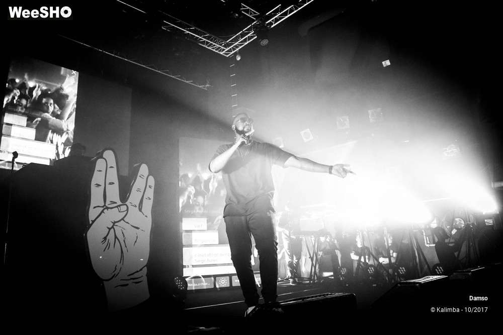 22/34 photos du spectacle Damso