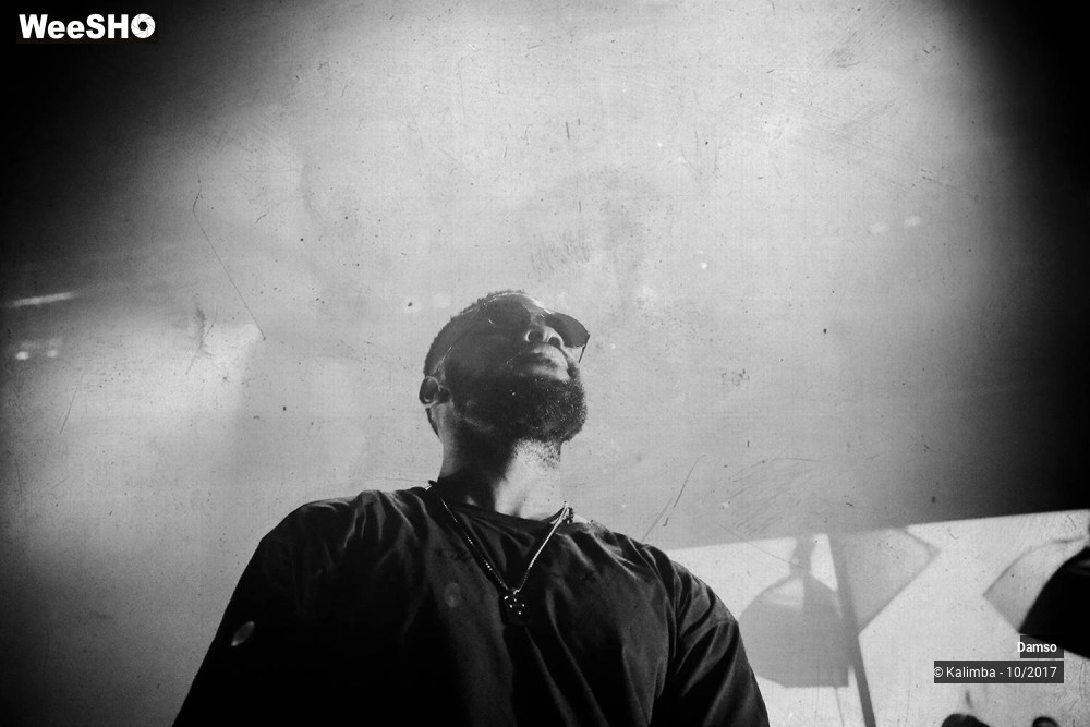 24/34 photos du spectacle Damso