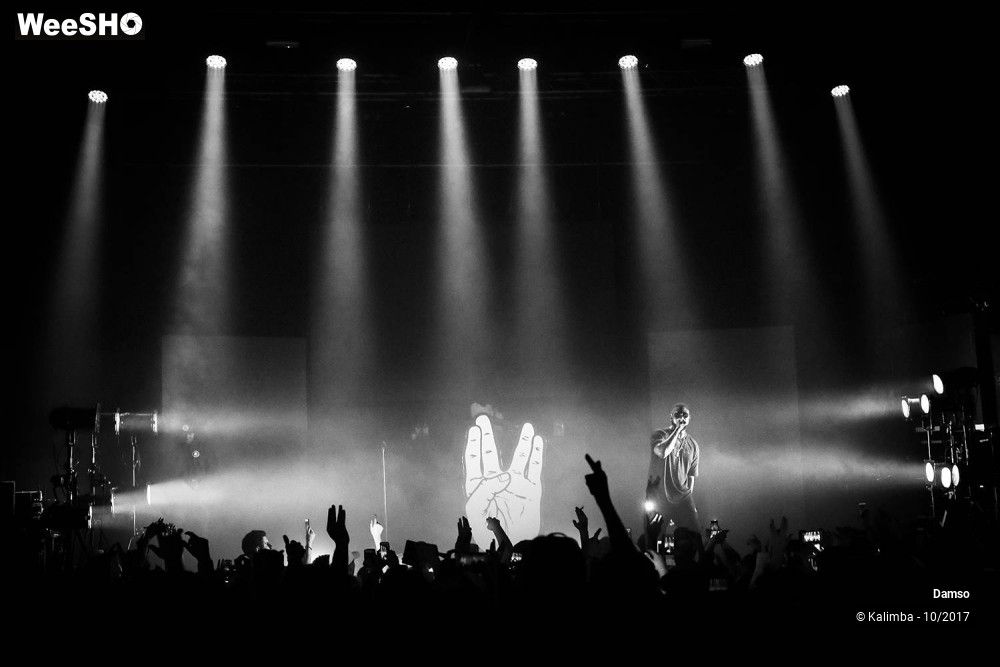 25/34 photos du spectacle Damso