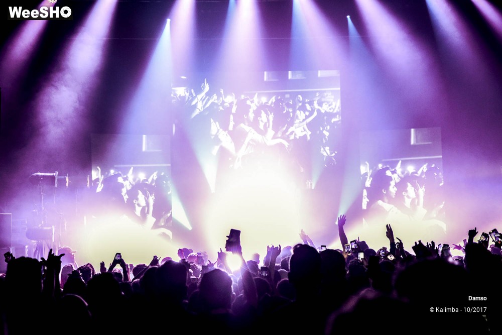 27/34 photos du spectacle Damso