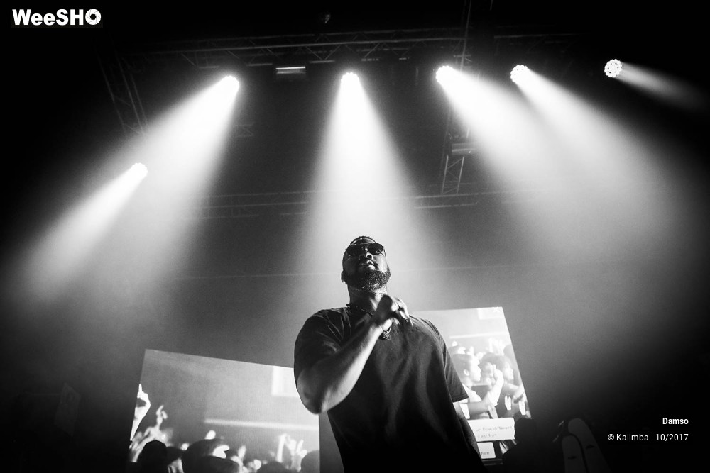 28/34 photos du spectacle Damso