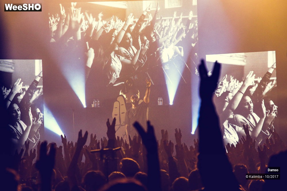 30/34 photos du spectacle Damso