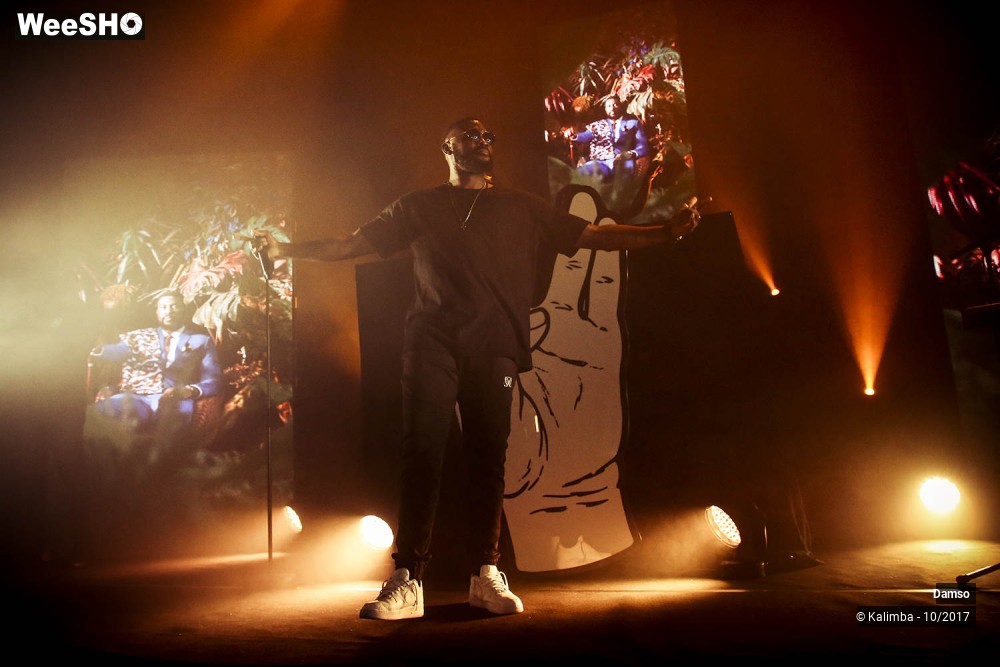 31/34 photos du spectacle Damso