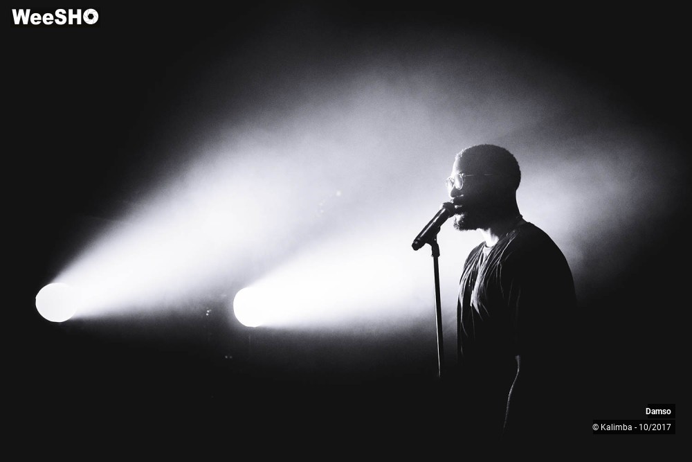 33/34 photos du spectacle Damso