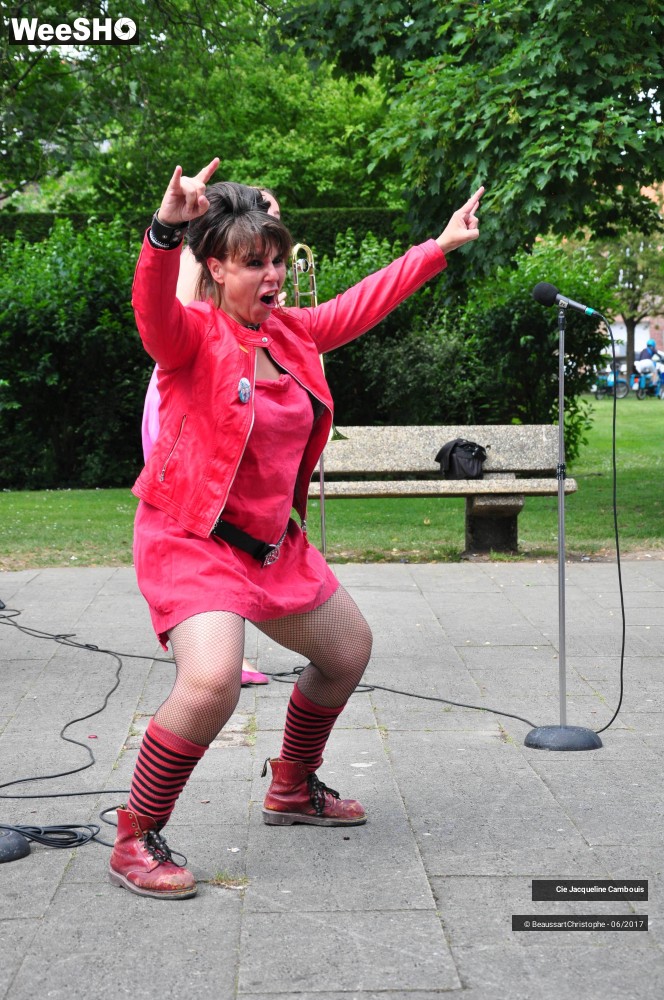 28/51 photos du spectacle Melle Orchestra