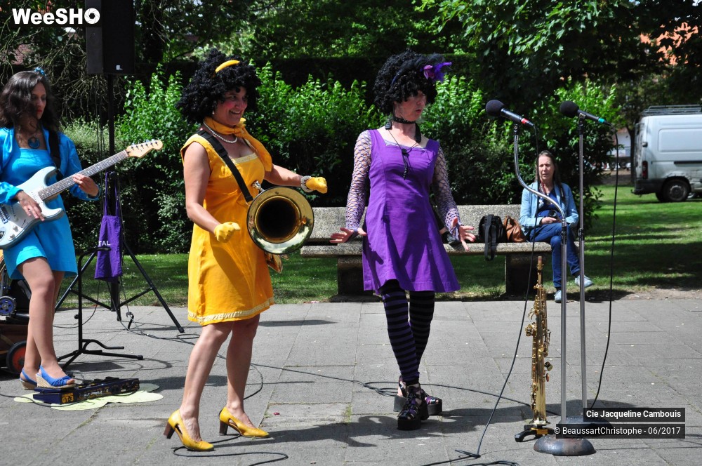 38/51 photos du spectacle Melle Orchestra