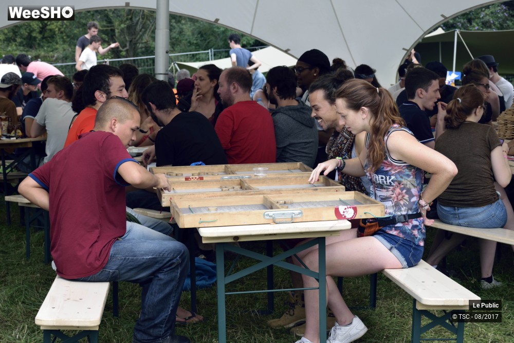 6/50 photos du spectacle Ambiance du Cabaret Vert 2017 Jour 3