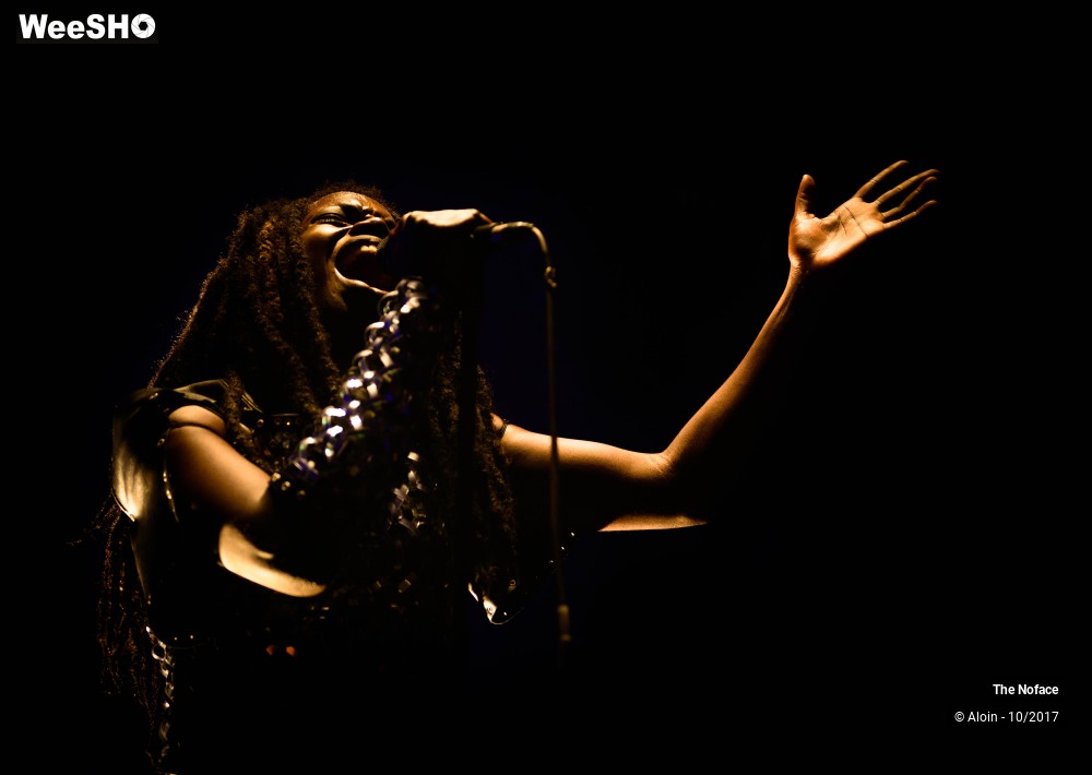 14/16 photos du spectacle The Noface