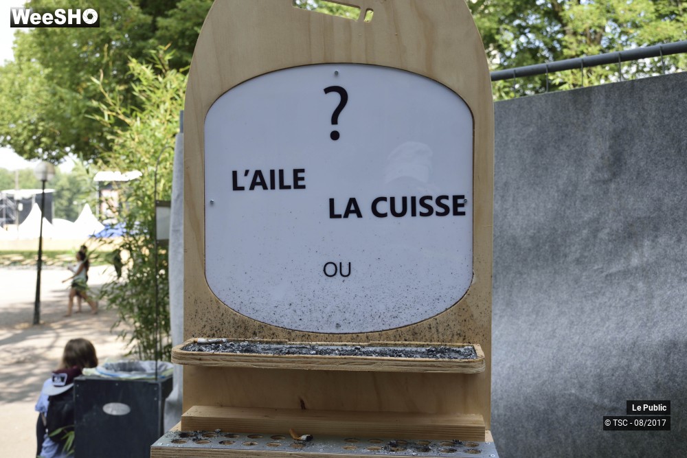 7/49 photos du spectacle Ambiance du Cabaret Vert 2017 Jour 4