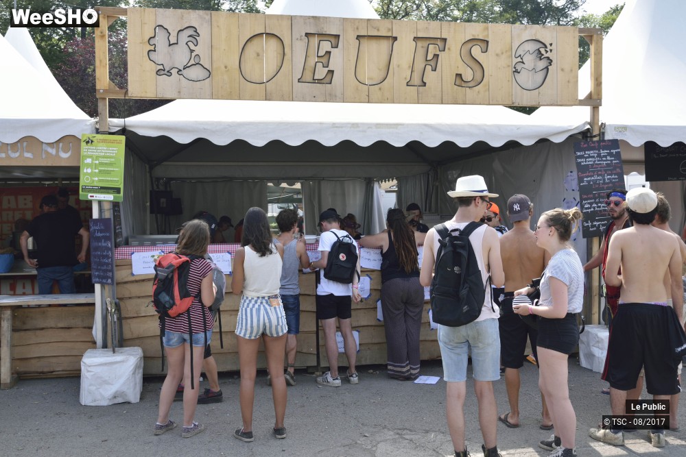 35/49 photos du spectacle Ambiance du Cabaret Vert 2017 Jour 4