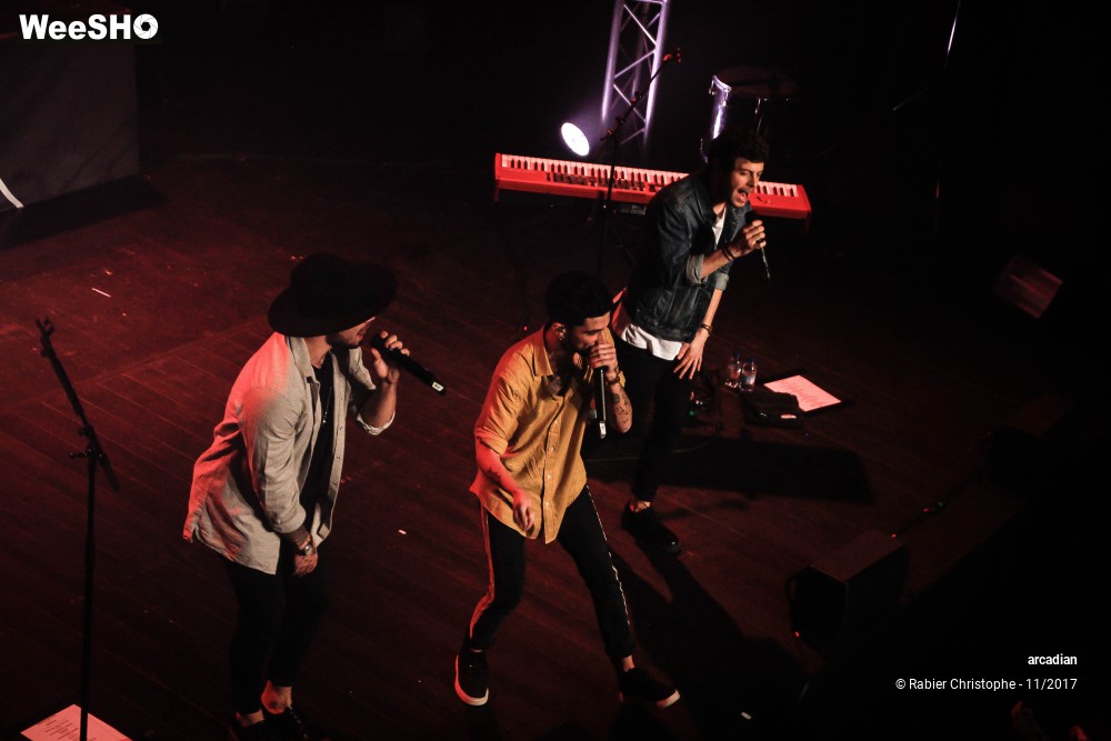 39/46 photos du spectacle Arcadian