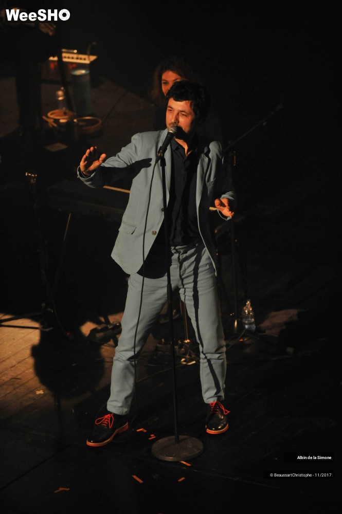 3/34 photos du spectacle Albin de la Simone