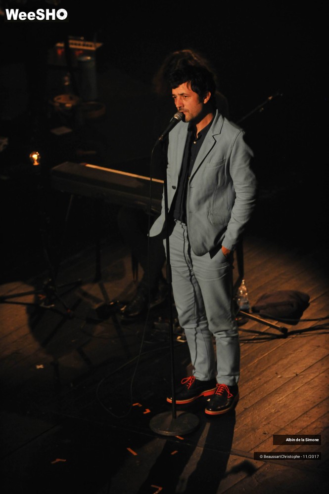 5/34 photos du spectacle Albin de la Simone