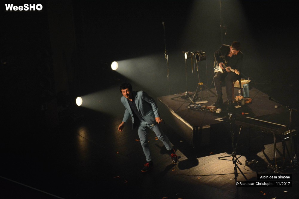 13/34 photos du spectacle Albin de la Simone