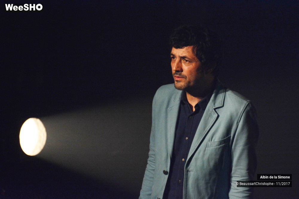 15/34 photos du spectacle Albin de la Simone