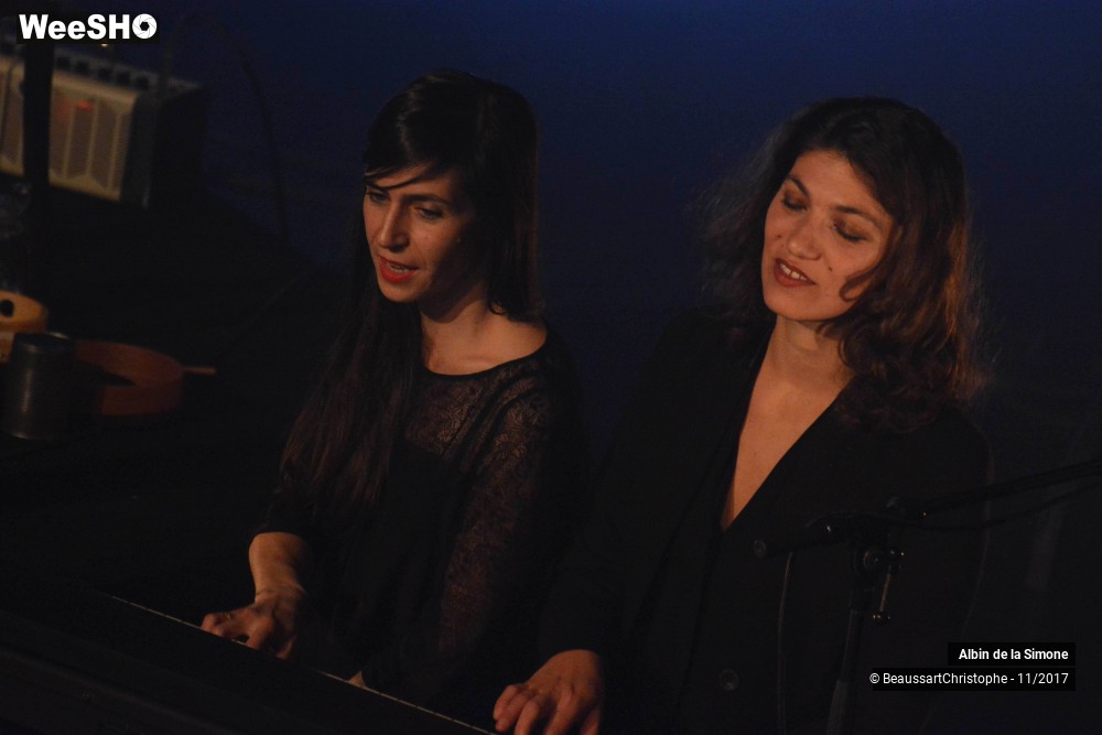 16/34 photos du spectacle Albin de la Simone