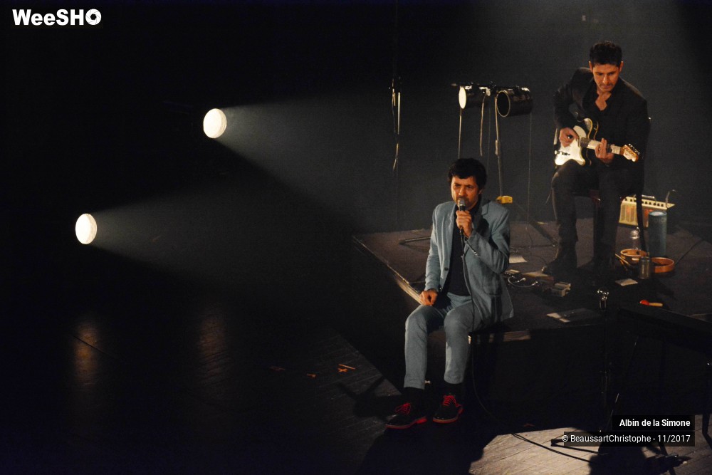 17/34 photos du spectacle Albin de la Simone