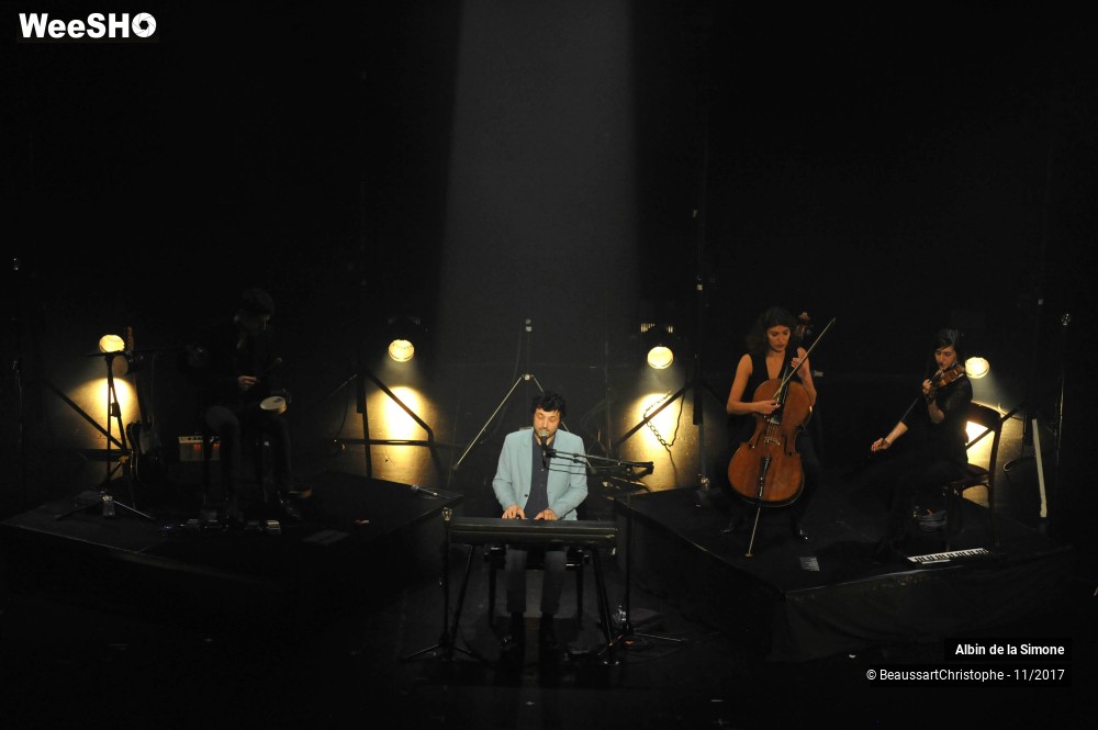 18/34 photos du spectacle Albin de la Simone