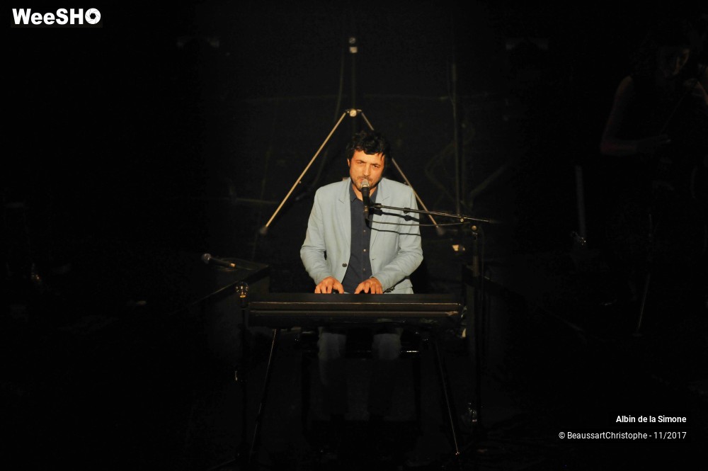 19/34 photos du spectacle Albin de la Simone