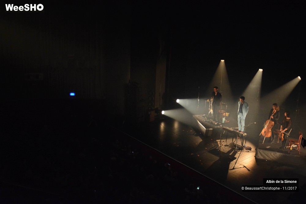 22/34 photos du spectacle Albin de la Simone