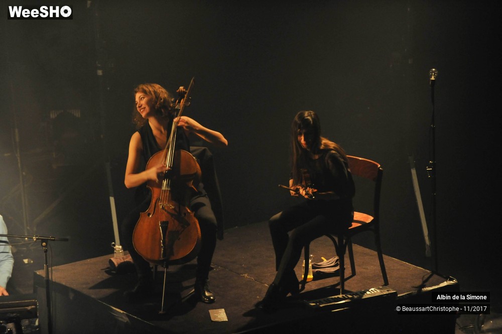 25/34 photos du spectacle Albin de la Simone