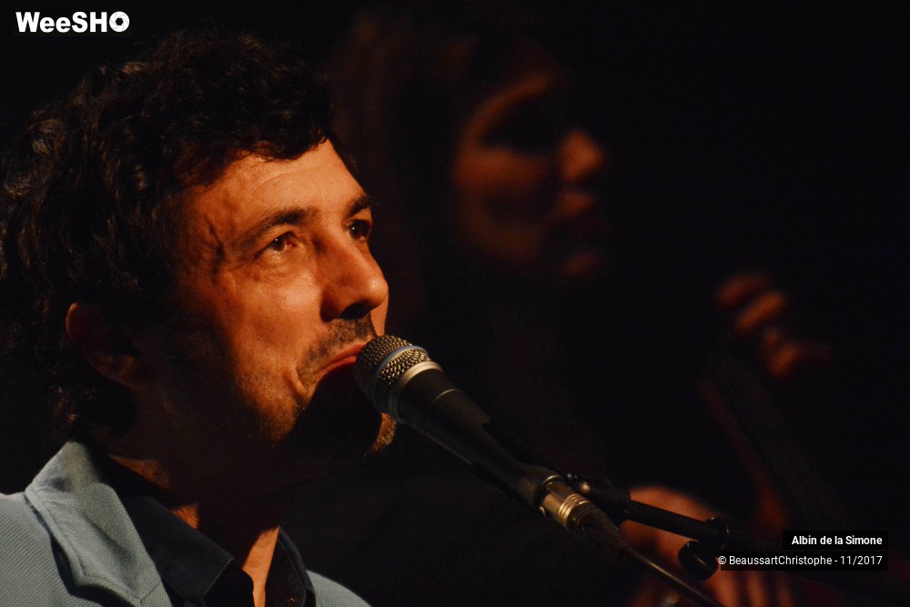 26/34 photos du spectacle Albin de la Simone