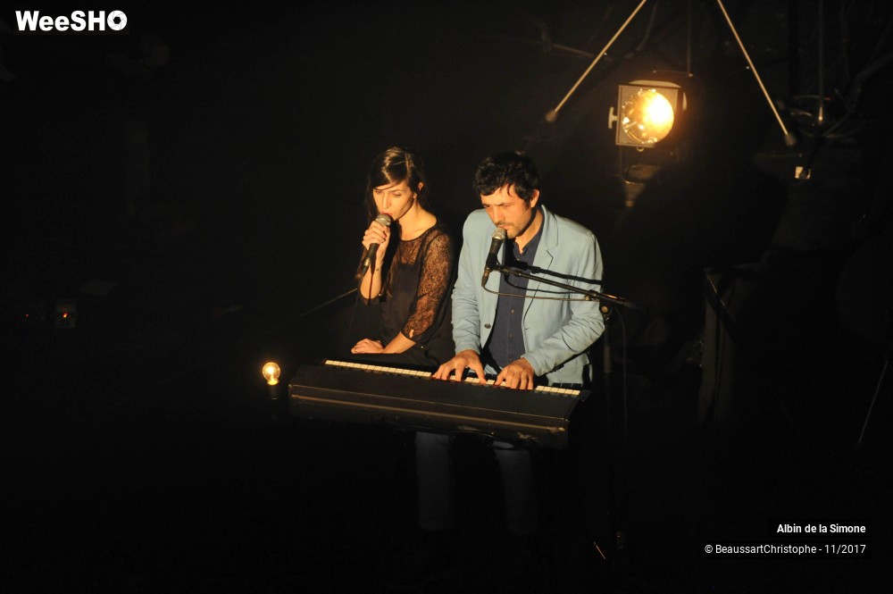 27/34 photos du spectacle Albin de la Simone