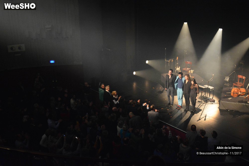 28/34 photos du spectacle Albin de la Simone