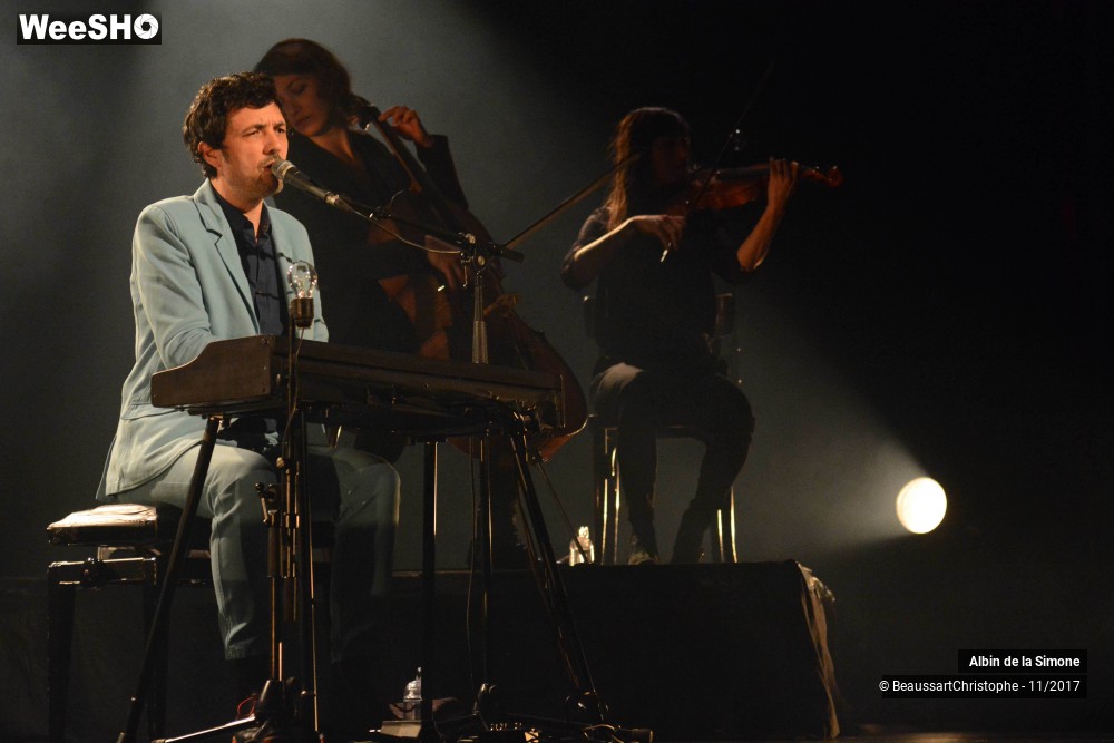 30/34 photos du spectacle Albin de la Simone