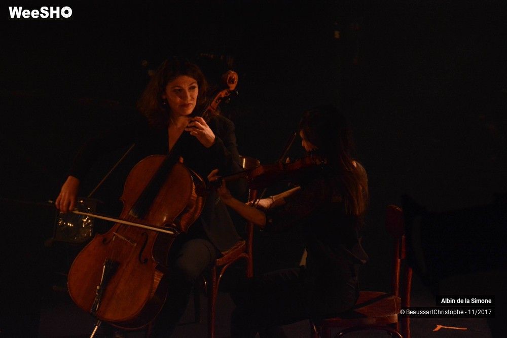 32/34 photos du spectacle Albin de la Simone