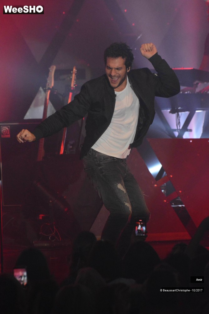 19/42 photos du spectacle Amir