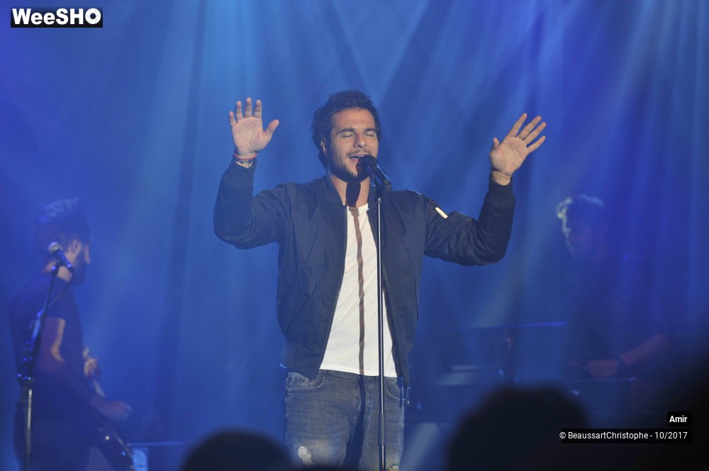22/42 photos du spectacle Amir