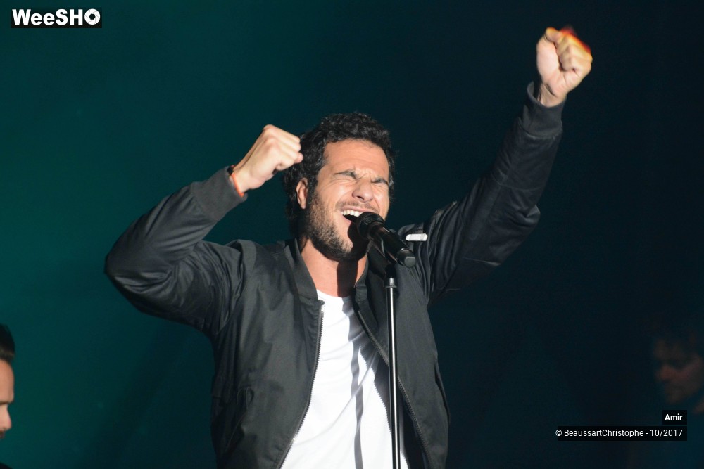 31/42 photos du spectacle Amir