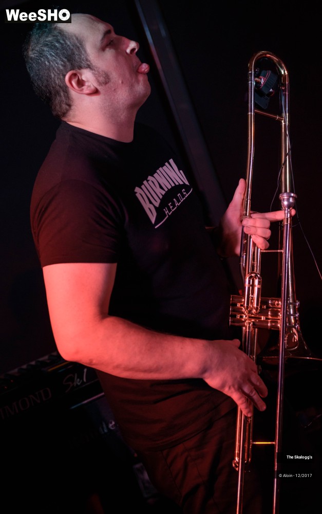 1/30 photos du spectacle The Skalogg's