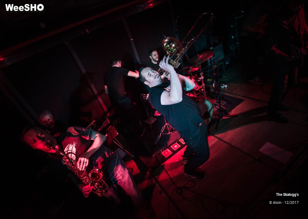 17/30 photos du spectacle The Skalogg's