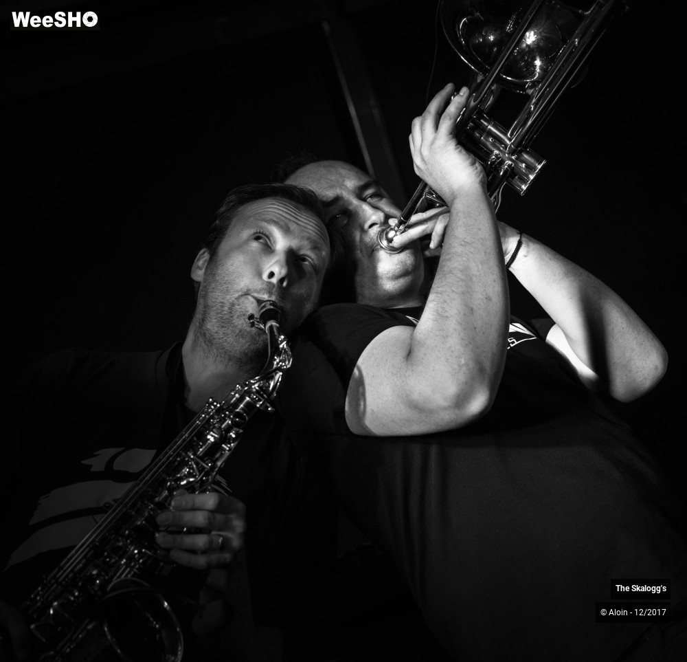 18/30 photos du spectacle The Skalogg's