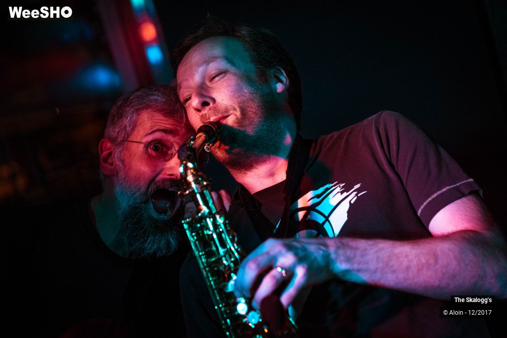 22/30 photos du spectacle The Skalogg's