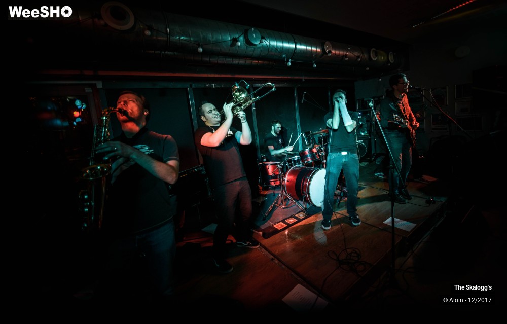 23/30 photos du spectacle The Skalogg's