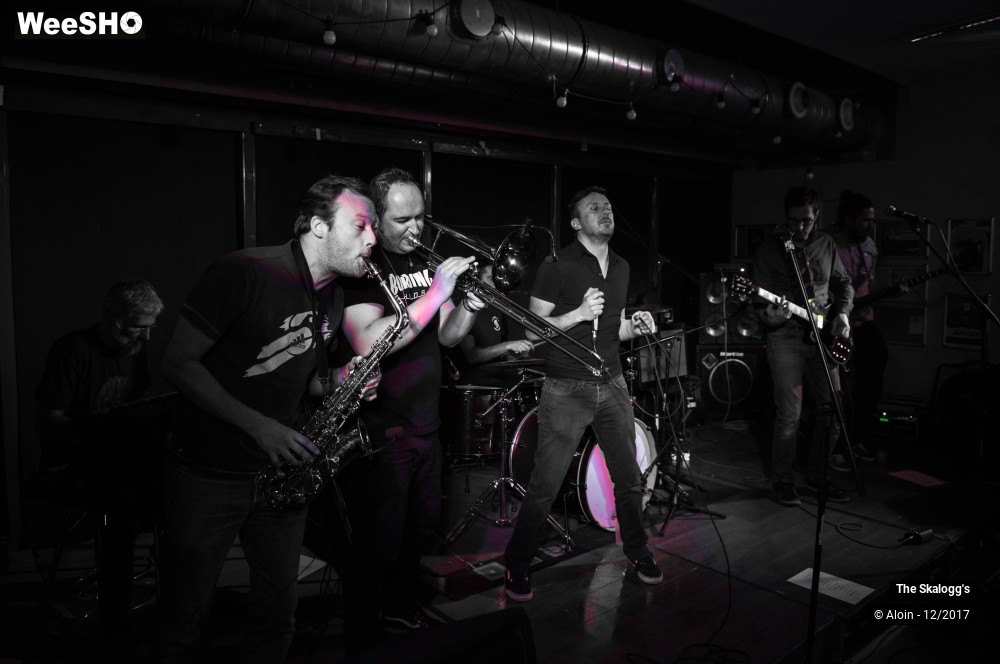 26/30 photos du spectacle The Skalogg's